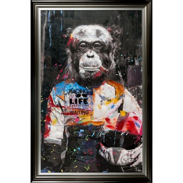 5359/P Monkey  80*120 cm