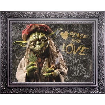 SK02 Maitre Yoda zen 80*115